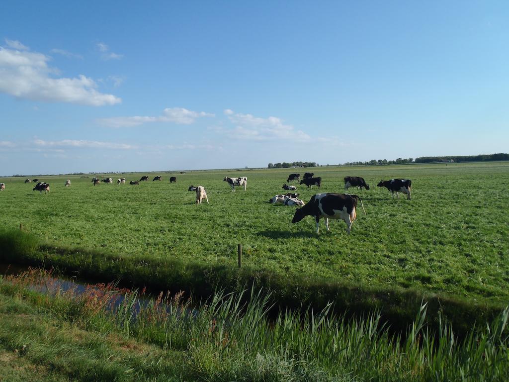Vakantiehuis Kiki Sondel Bagian luar foto